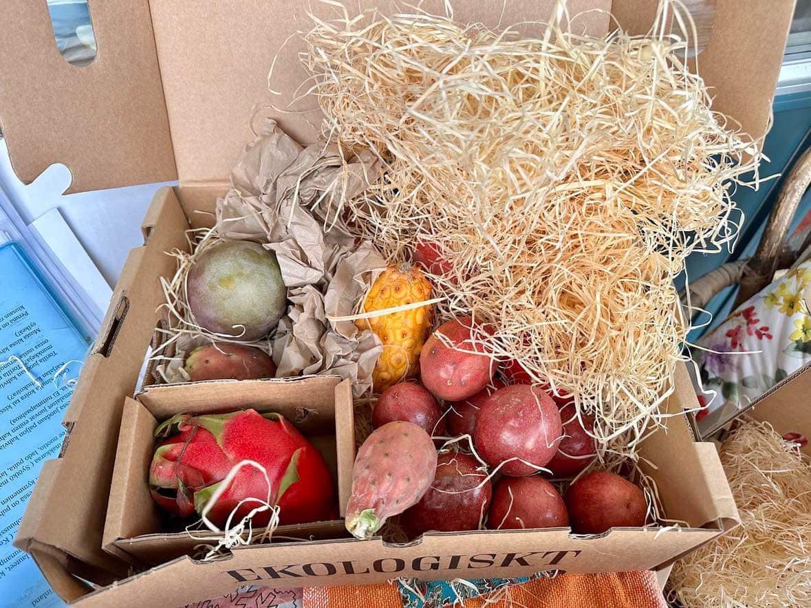 Ottomansk Popup Middag på Gärdet – en smakresa från Istanbul - Bild 4